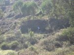 IMG_3257.jpg