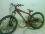 DSC00257.jpg