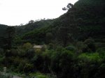 DSCN6446.JPG