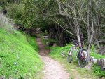 DSCN6447.JPG
