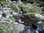 DSCN6471.JPG