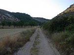DSCN0365 (Large).JPG