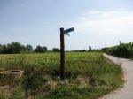 IMG_6941.JPG