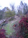 PB080118.jpg
