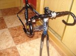 DSC03402.jpg