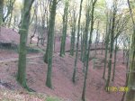 100_0517.jpg