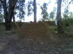 DSC00114.jpg