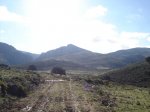 DSC04040.jpg