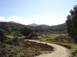 DSC04062.jpg