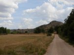 DSCN0481 (Large).JPG