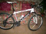 PICT0318.jpg