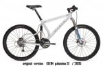 klein palomino xx (original).jpg
