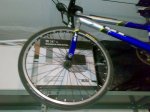 12112008205.jpg