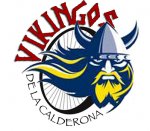 LOGO%20VIKINGO.jpg