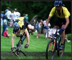 img_caida_freno[1].jpg