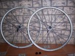 MTB TOLOX JR 2008 081.jpg