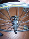 MTB TOLOX JR 2008 082.jpg