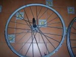 MTB TOLOX JR 2008 084.jpg