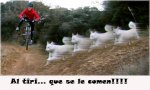 user67216_pic2391_1224884155 copia.jpg