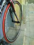 DSC00209.jpg