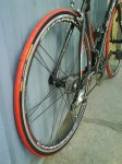 DSC00210.jpg