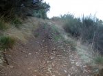 PB130008 (Copiar).JPG