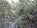 barranc del malafi 9-11-08 009.jpg