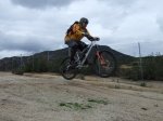 Pataliebres en HOYO 030.jpg