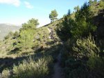 barranc del malafi 9-11-08 030.jpg