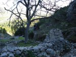barranc del malafi 9-11-08 032.jpg