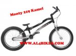 219kamel_f.jpg