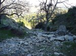 barranc del malafi 9-11-08 038.jpg
