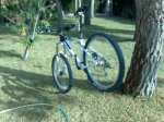 05072008383.jpg