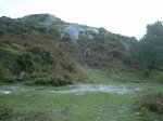 DSCN2985 (Medium).JPG