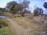 fotos jaÃ±iquin 085.jpg