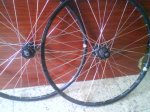 DSC00019.jpg