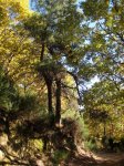 Imagen 022.jpg