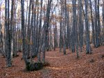 Imagen 045.jpg