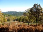 Imagen 099.jpg