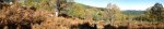 panoramica4.jpg