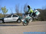 traficohaciendolamona.jpg