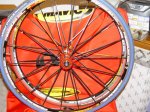 DSC04124.jpg