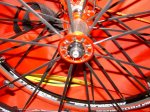 DSC04125.jpg