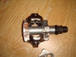 DSC02228.jpg
