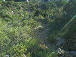 DSC01914.JPG