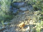 DSC01933.JPG