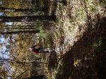 IMG_0057.jpg