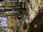 IMG_0061.jpg