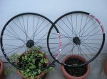 ruedas sunrims xc.jpg