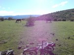 DSC00015.jpg
